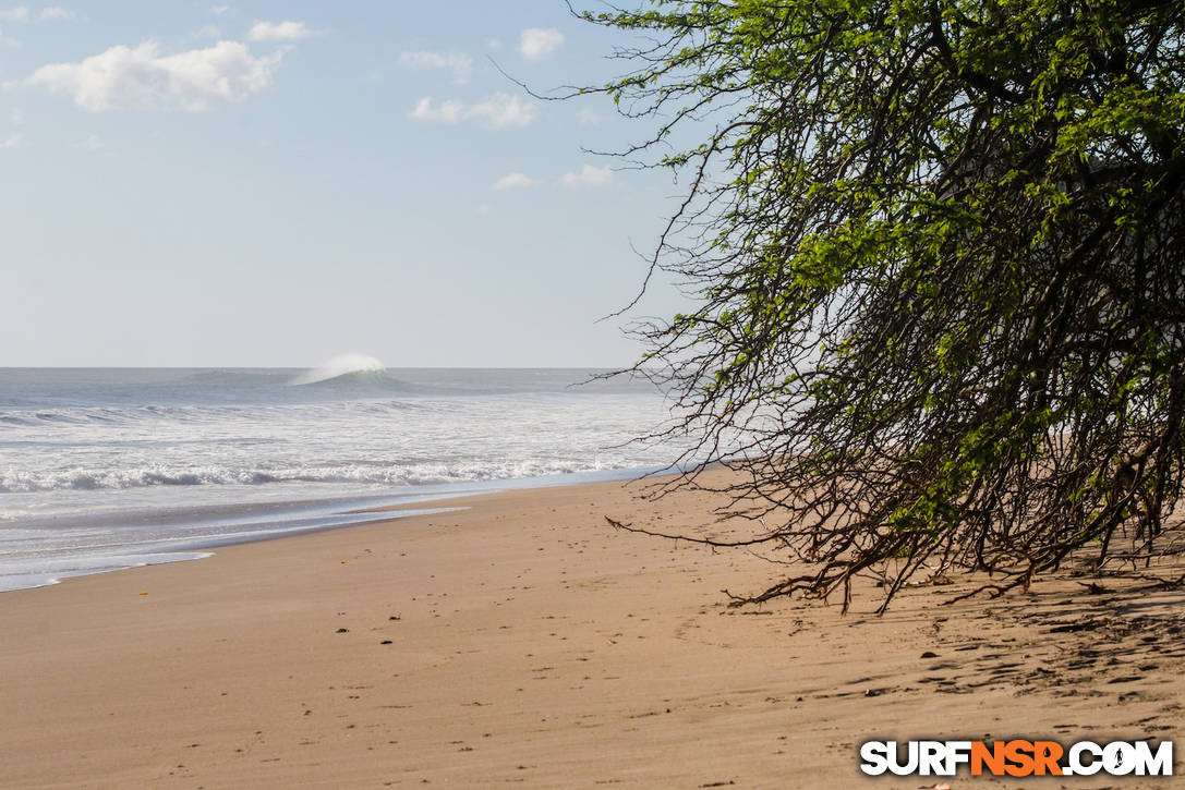 Surf Report for 11/29/2020