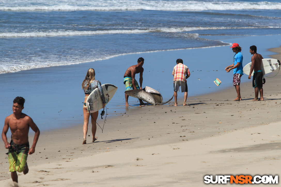 Nicaragua Surf Report - Report Photo 02/07/2017  12:11 PM 