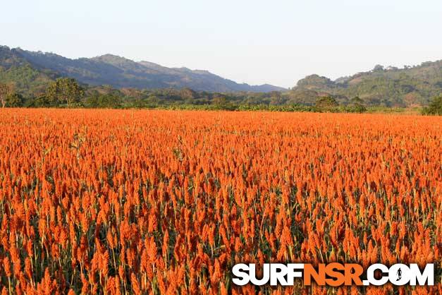 Nicaragua Surf Report - Report Photo 12/07/2009  8:18 PM 