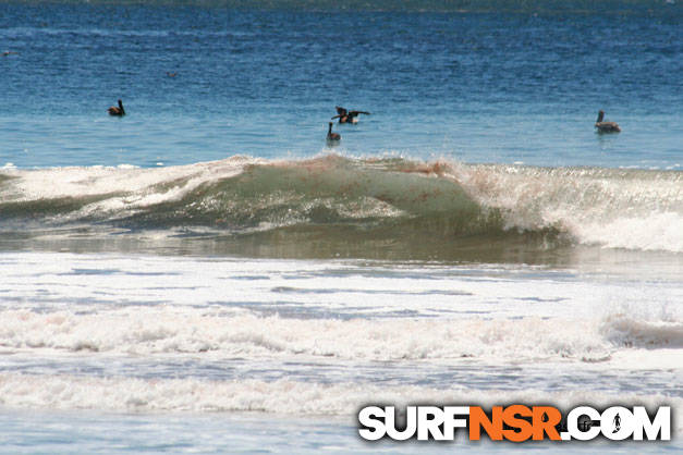 Nicaragua Surf Report - Report Photo 02/07/2009  4:01 PM 