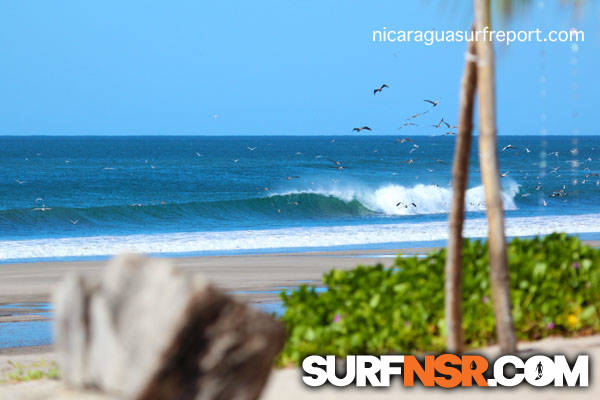Surf Report for 12/15/2012
