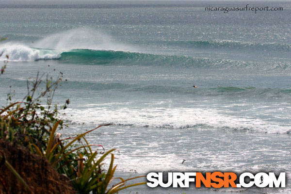 Surf Report for 01/10/2012