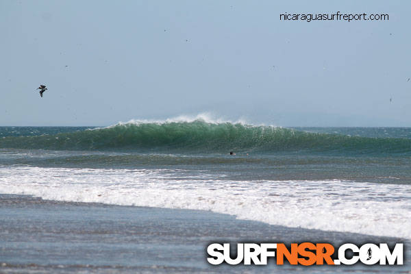 Surf Report for 02/13/2015