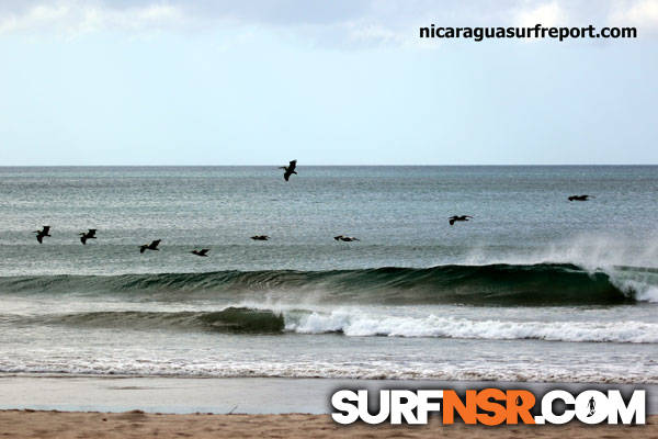 Surf Report for 01/03/2013