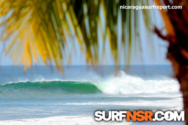 Surf Report for 02/25/2013