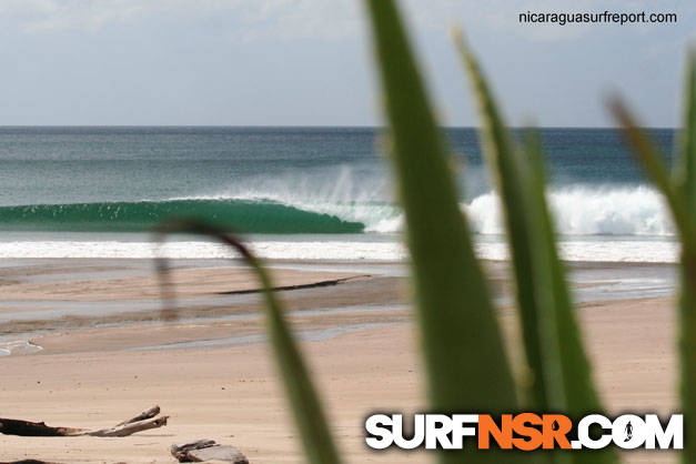 Surf Report for 01/11/2009