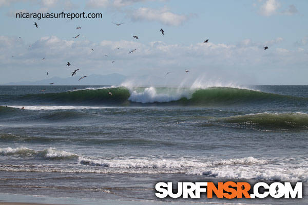 Surf Report for 01/18/2014