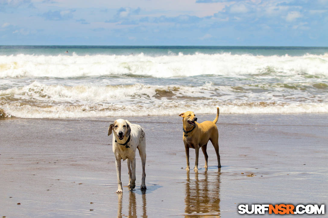 Nicaragua Surf Report - Report Photo 09/16/2022  11:36 AM 