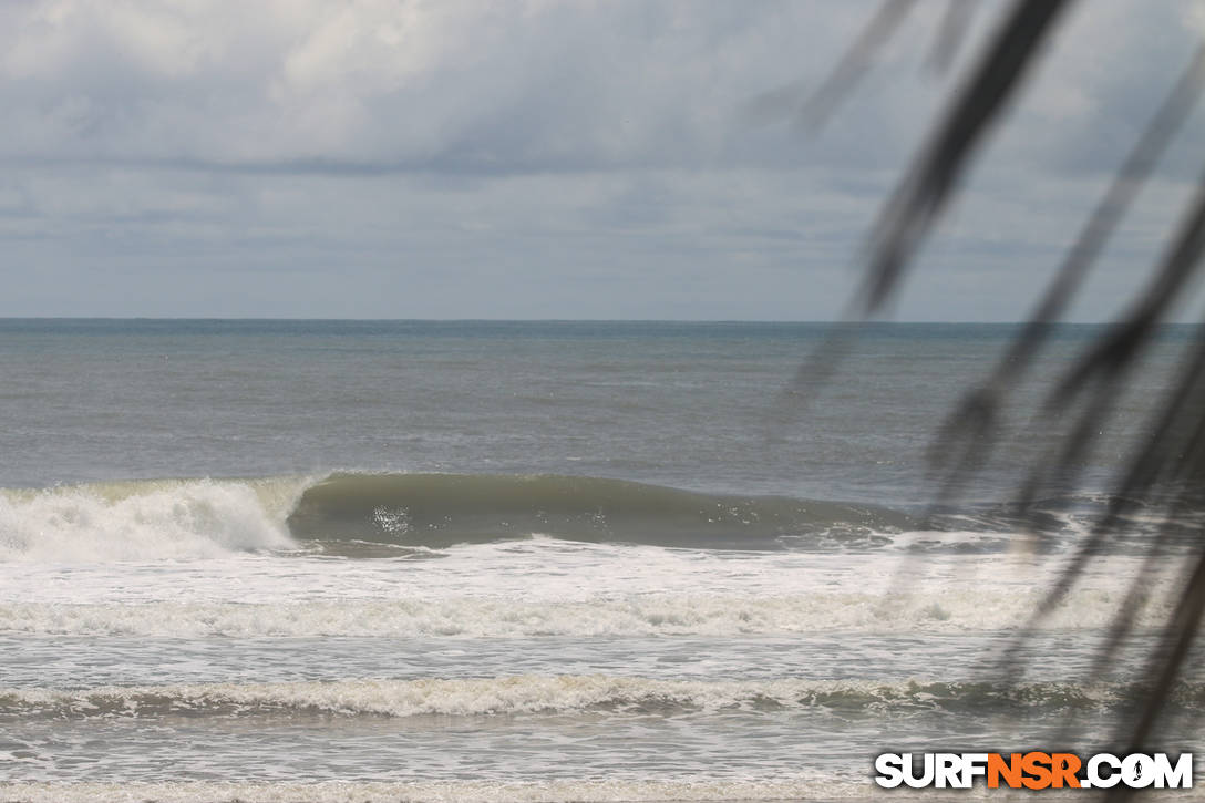 Surf Report for 10/08/2020
