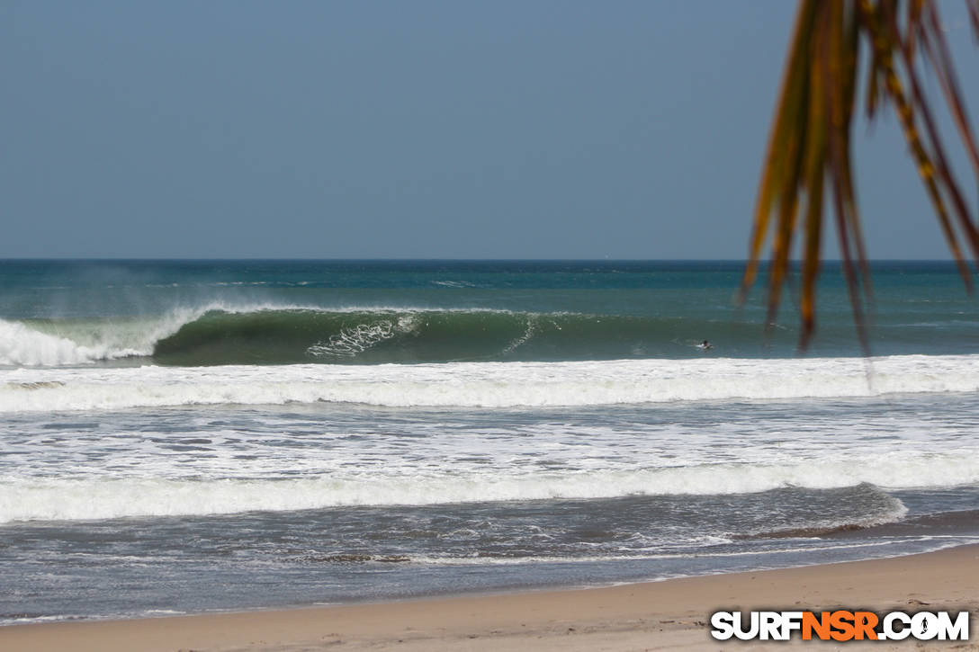 Surf Report for 04/15/2020