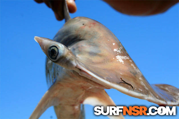 Surf Report for 09/25/2006