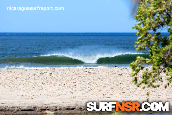 Surf Report for 02/05/2013