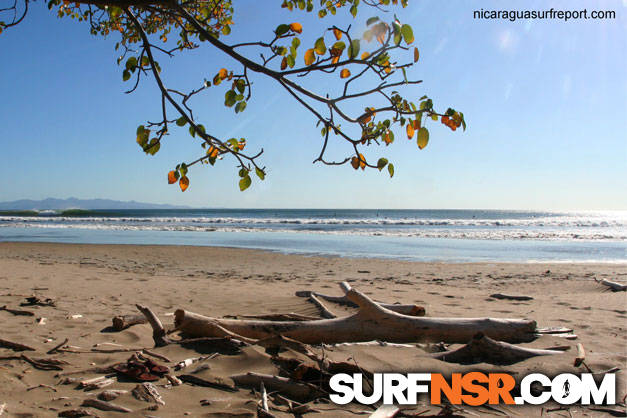 Surf Report for 02/11/2009