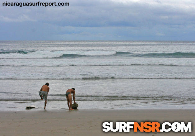 Surf Report for 06/15/2009