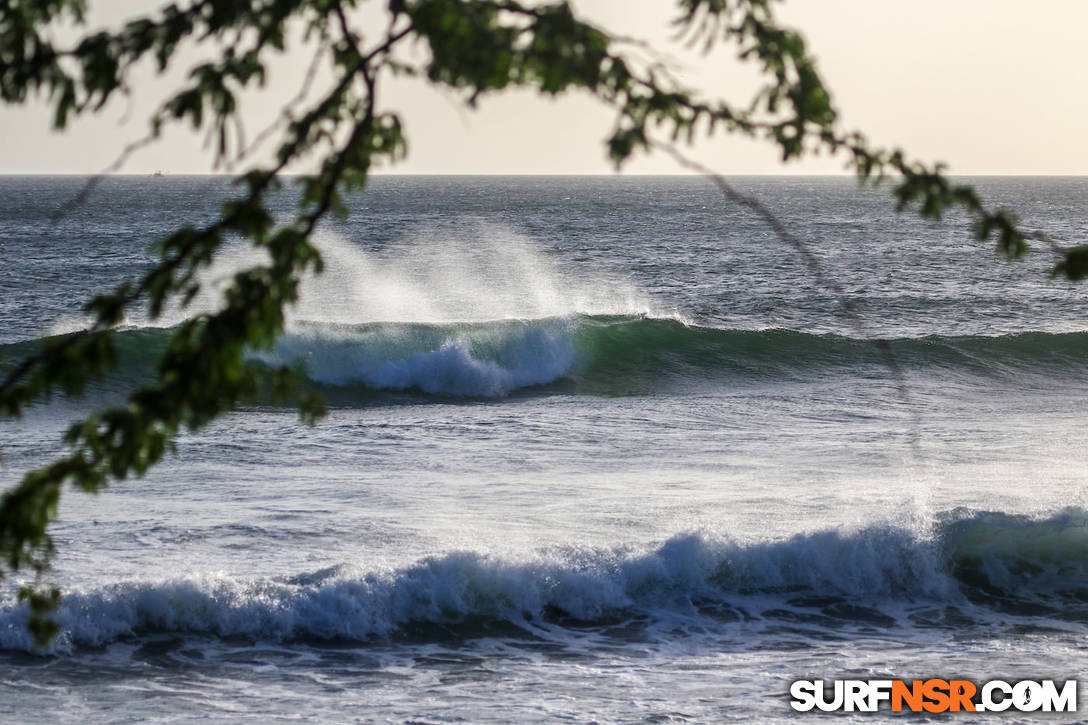 Surf Report for 01/12/2020