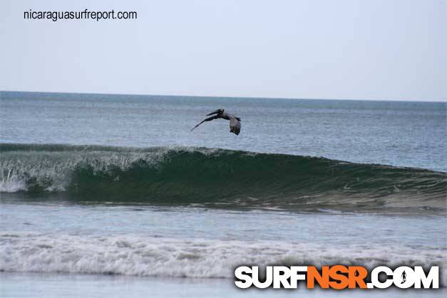 Nicaragua Surf Report - Report Photo 02/03/2007  6:52 PM 