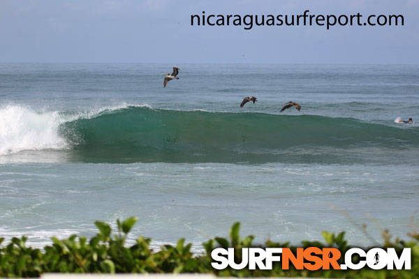 Surf Report for 08/24/2012