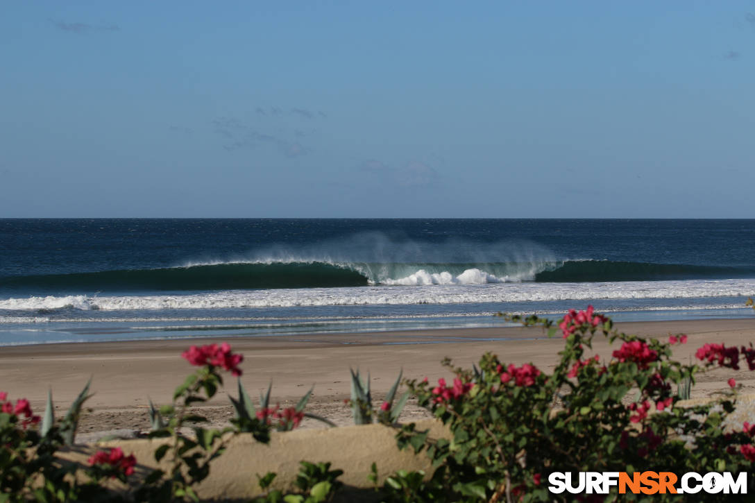 Surf Report for 01/23/2016