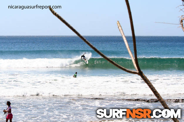 Surf Report for 01/29/2010