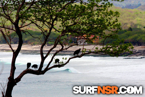 Surf Report for 05/11/2013