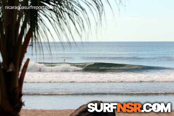 Surf Report for 12/02/2013
