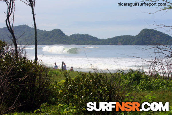 Surf Report for 08/19/2010