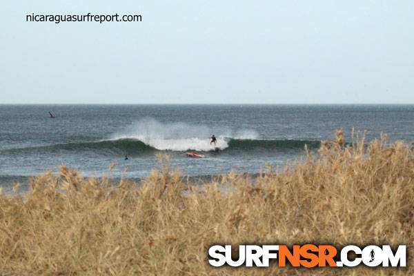 Surf Report for 02/19/2014