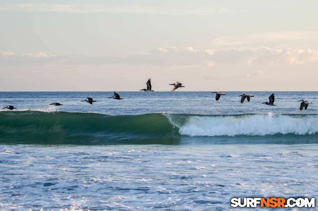 Surf Report for 11/25/2018