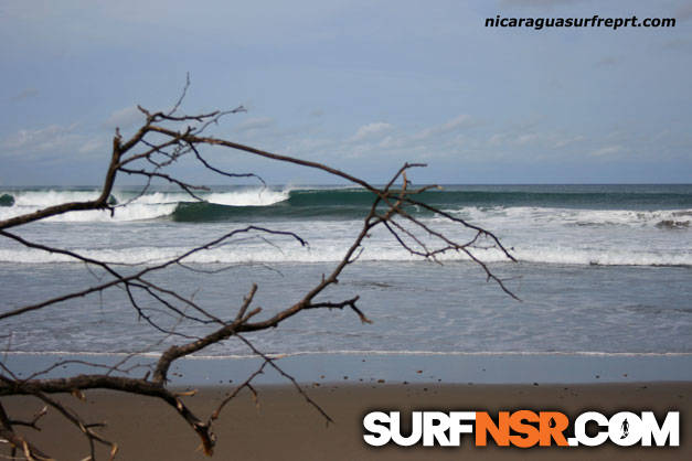 Surf Report for 06/20/2009