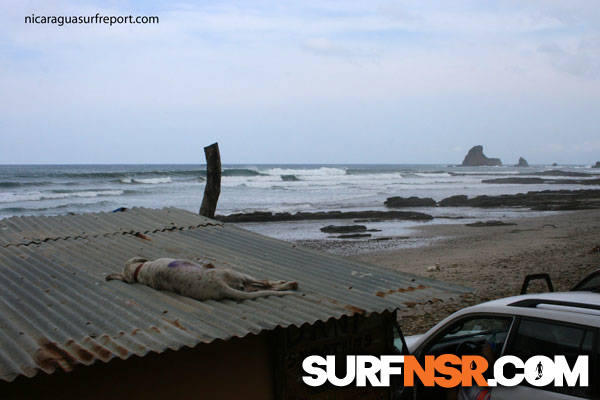 Surf Report for 06/02/2010