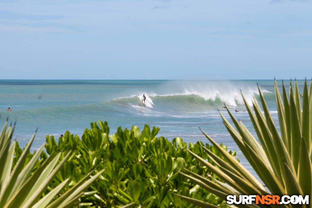 Surf Report for 08/04/2021