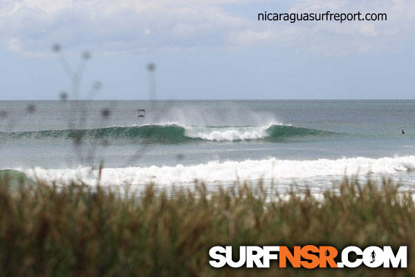 Surf Report for 12/01/2014