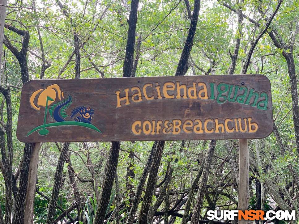 Surf Report for 10/15/2019