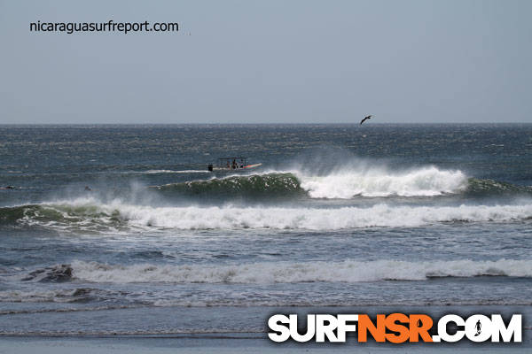 Surf Report for 02/15/2014