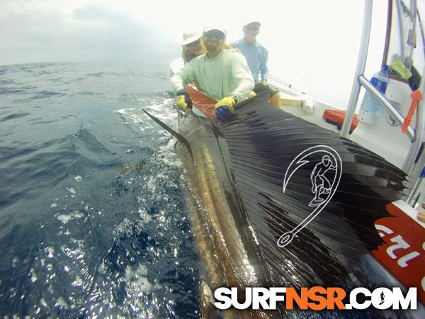 Surf Report for 05/16/2011