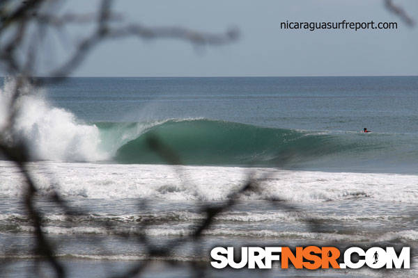 Surf Report for 10/12/2013