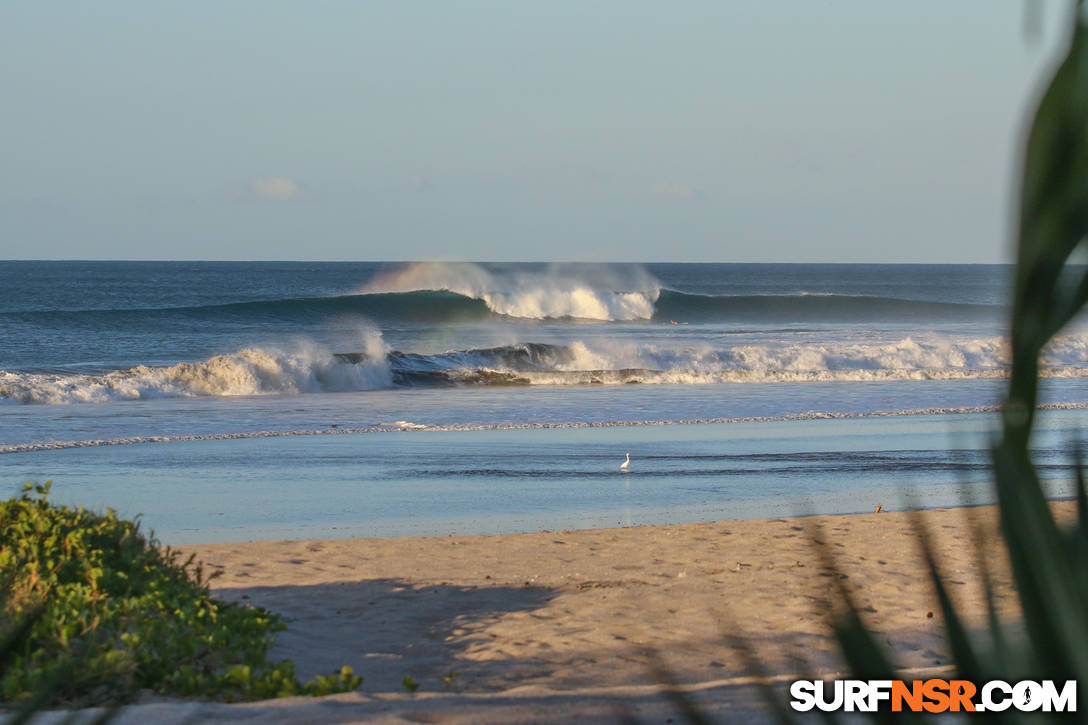 Surf Report for 12/10/2015