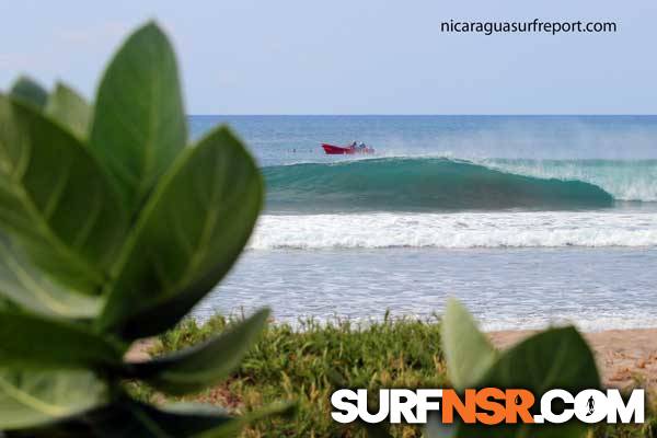 Surf Report for 11/13/2014