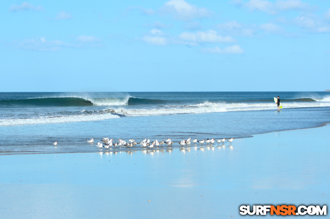 Nicaragua Surf Report - Report Photo 01/31/2017  4:39 PM 