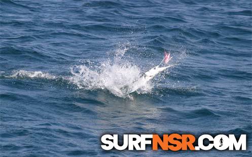 Surf Report for 09/08/2005