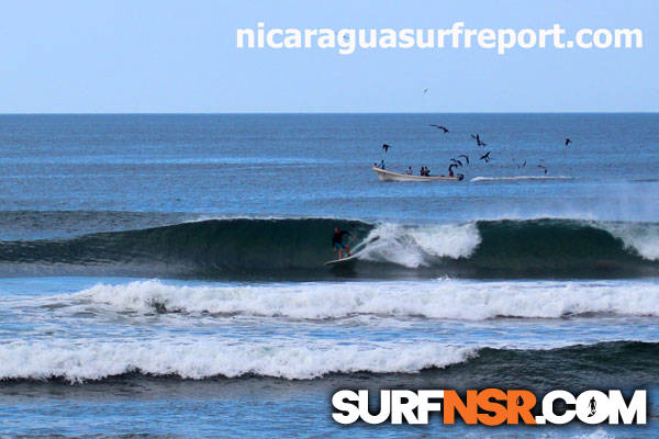 Surf Report for 11/28/2012