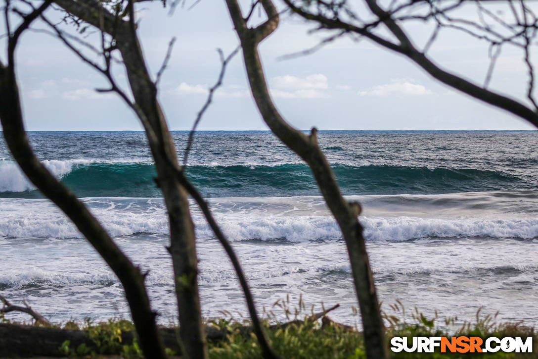 Surf Report for 11/04/2021