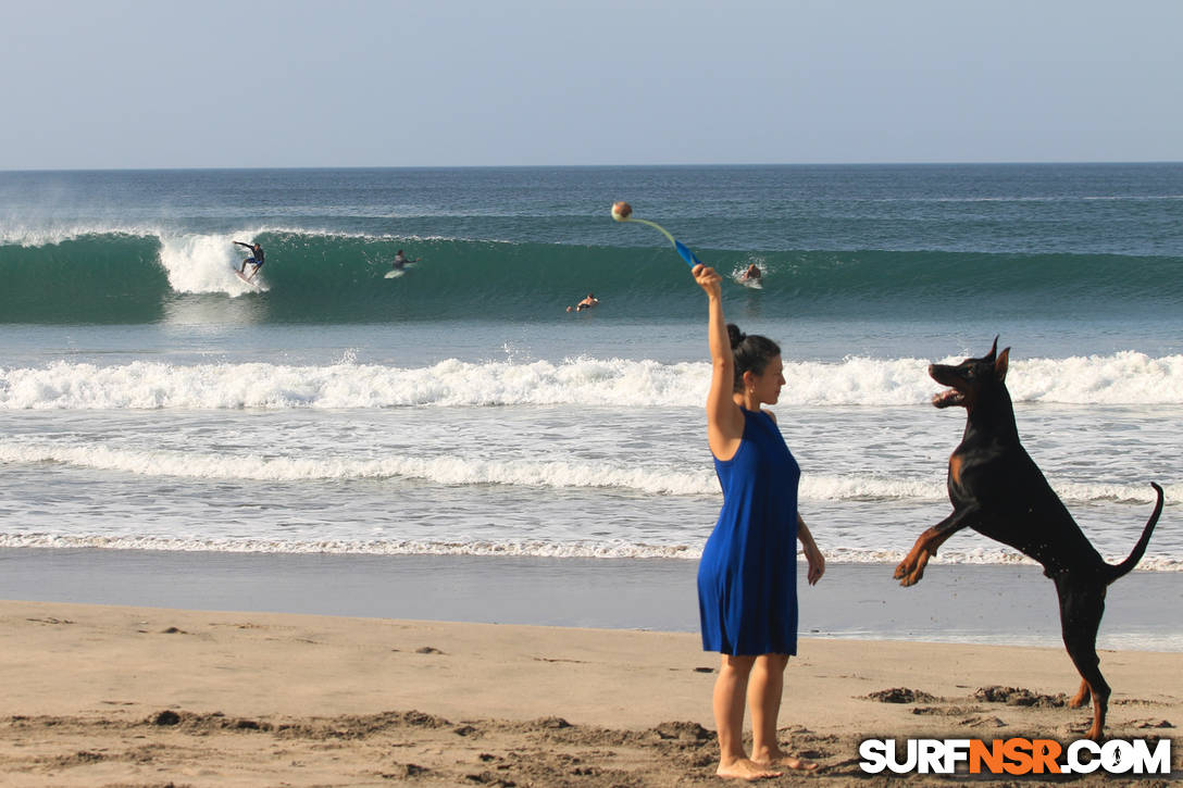 Surf Report for 04/11/2020