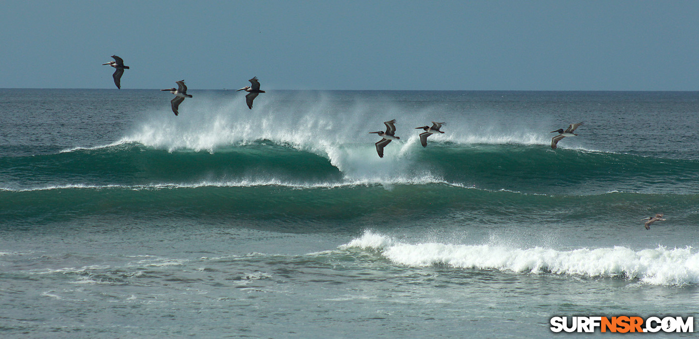 Surf Report for 02/12/2018