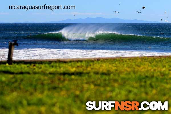 Surf Report for 01/16/2014