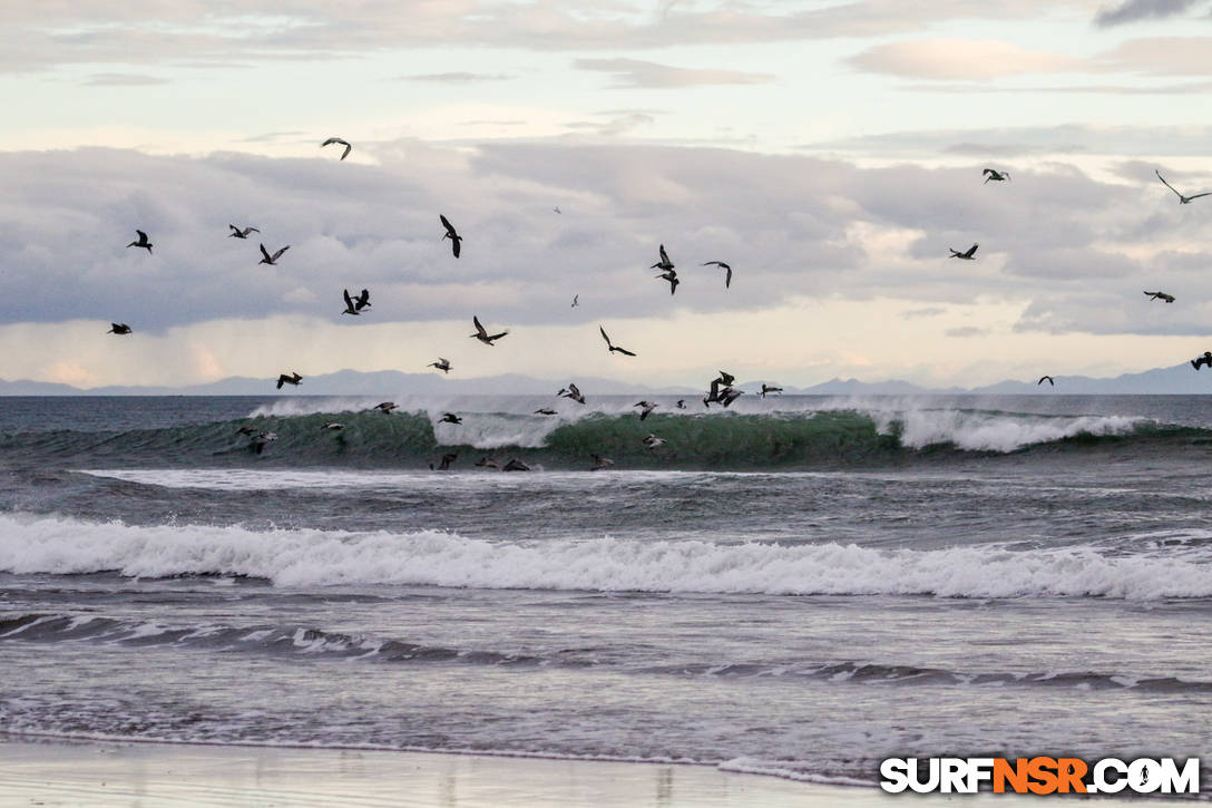 Nicaragua Surf Report - Report Photo 01/10/2021  9:02 PM 