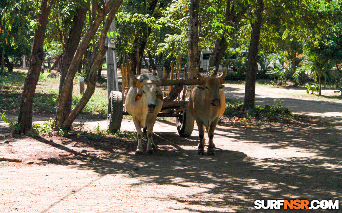 Nicaragua Surf Report - Report Photo 08/03/2015 11:39 AM