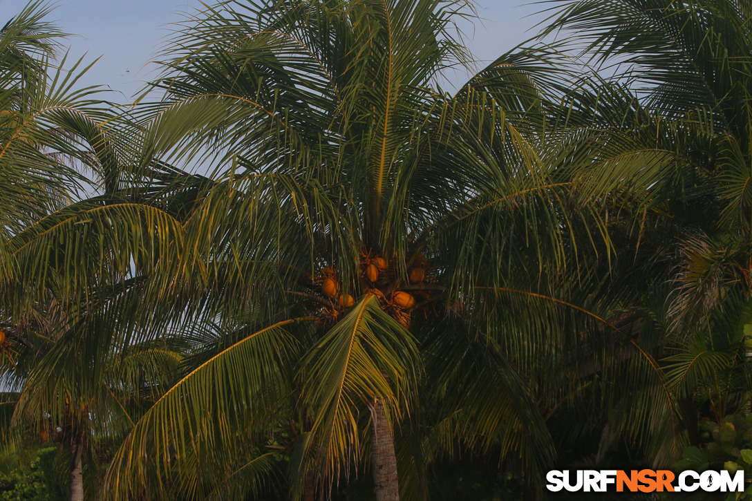 Nicaragua Surf Report - Report Photo 08/31/2017 10:19 AM