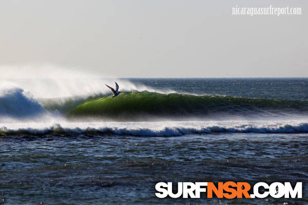 Nicaragua Surf Report - Report Photo 03/08/2012  8:27 PM 