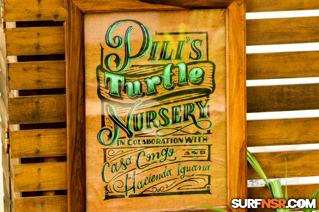 Nicaragua Surf Report - Report Photo 11/11/2019  5:22 PM 